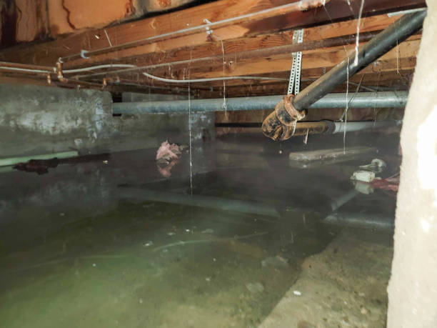 Best Emergency water damage restoration  in Madrid, IA