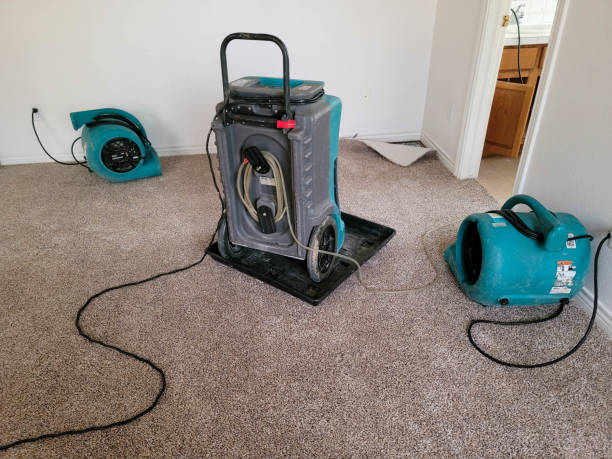 Best Emergency water damage restoration  in Madrid, IA
