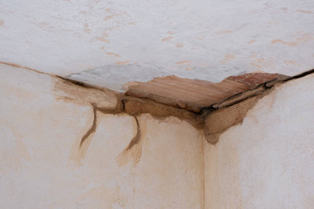 Best Sewage cleanup and water damage restoration  in Madrid, IA