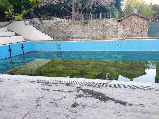 Best Sewage cleanup and water damage restoration  in Madrid, IA