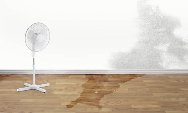 Best Water damage restoration services  in Madrid, IA