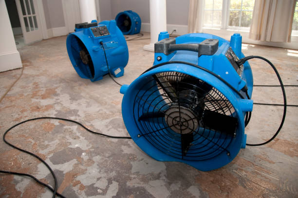Best Fire Damage Restoration  in Madrid, IA