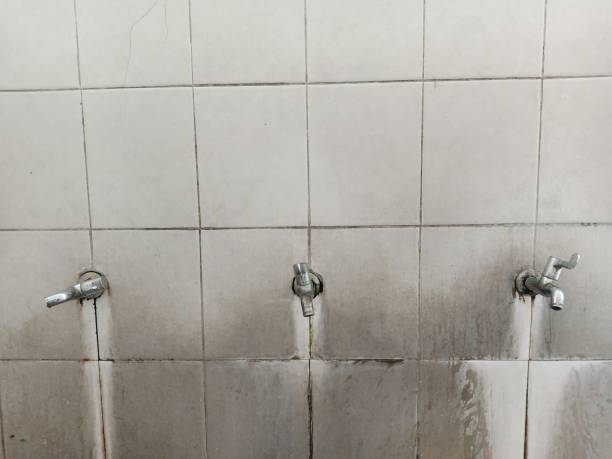 Best 24/7 water damage repair  in Madrid, IA